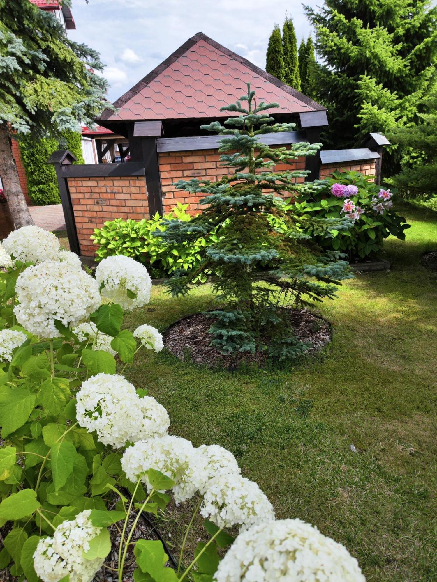 Bed and Breakfast Michalek W Rowach Rowy  Exterior foto