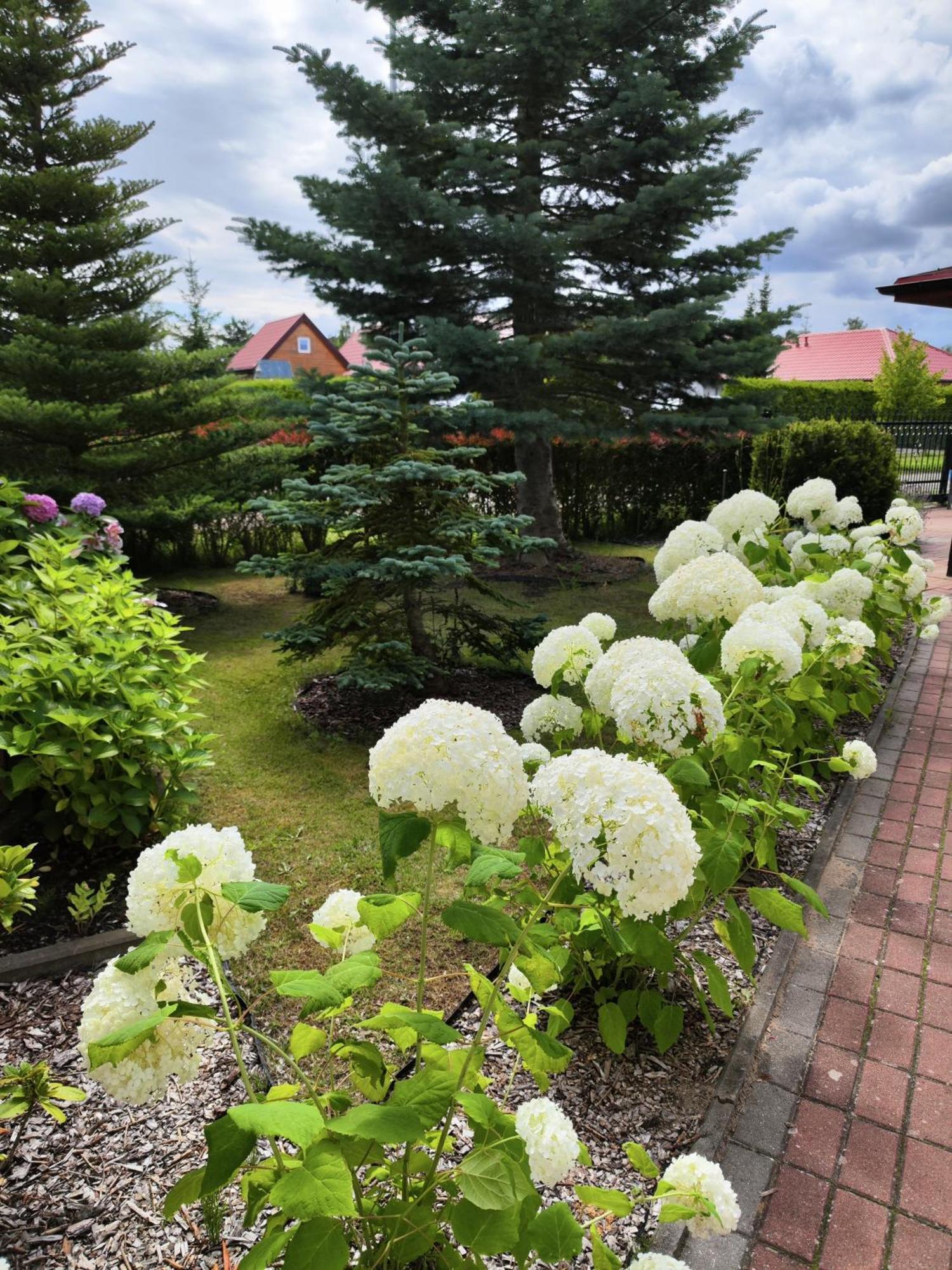 Bed and Breakfast Michalek W Rowach Rowy  Exterior foto